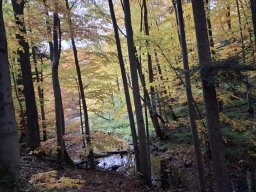 56565355012823995870213201655761131200948915n